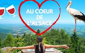 Plaisirs D'Alsace - Munster - Colmar - Route Du Vin